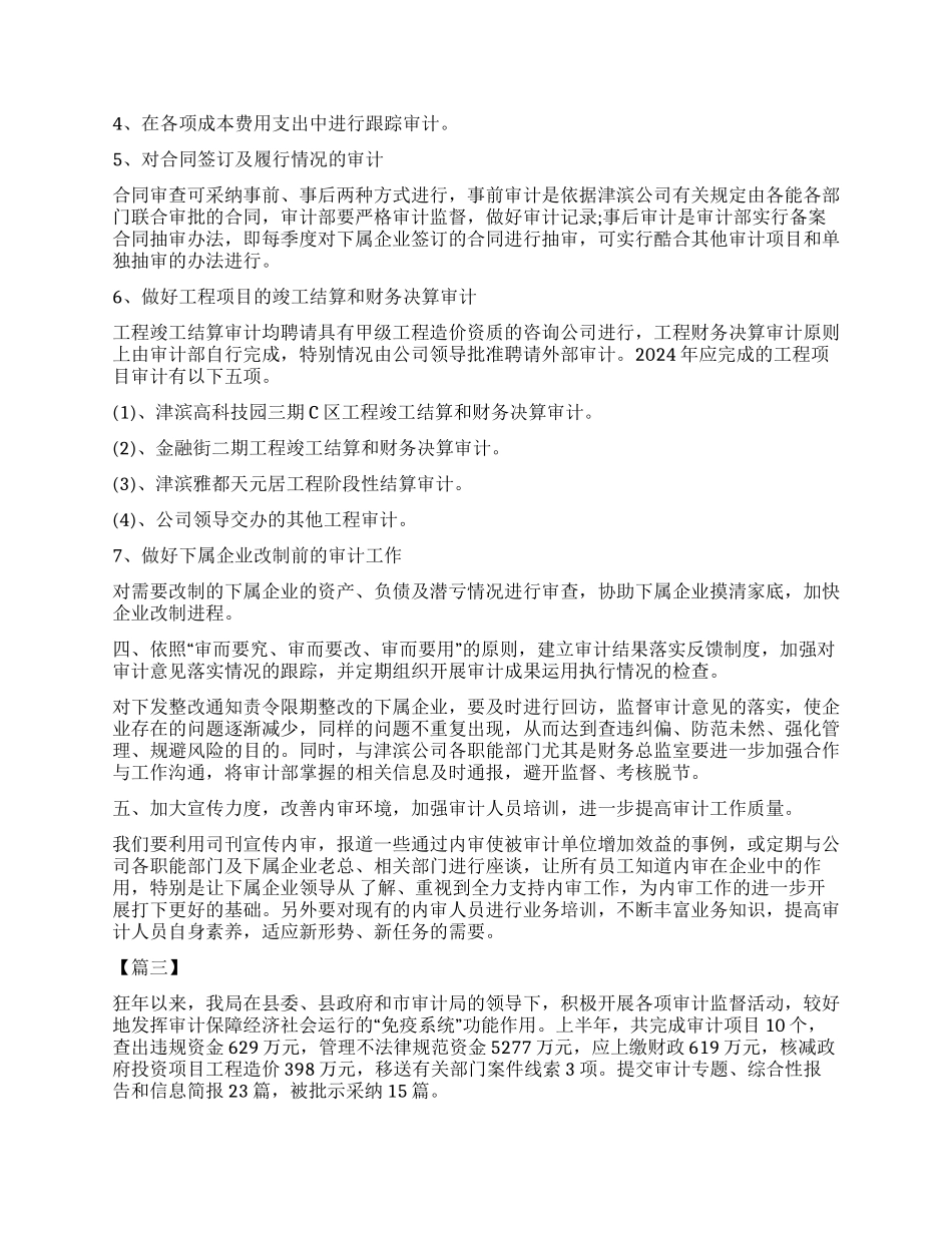 2024年审计工作总结与计划书_第3页