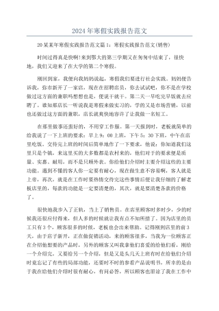 2024年寒假实践报告范文