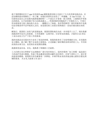 2024年寒假集团公司社会实践调查报告