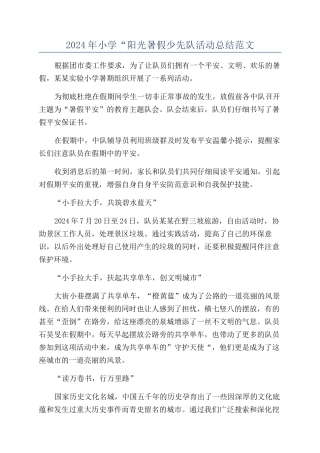 2024年小学“阳光暑假少先队活动总结范文