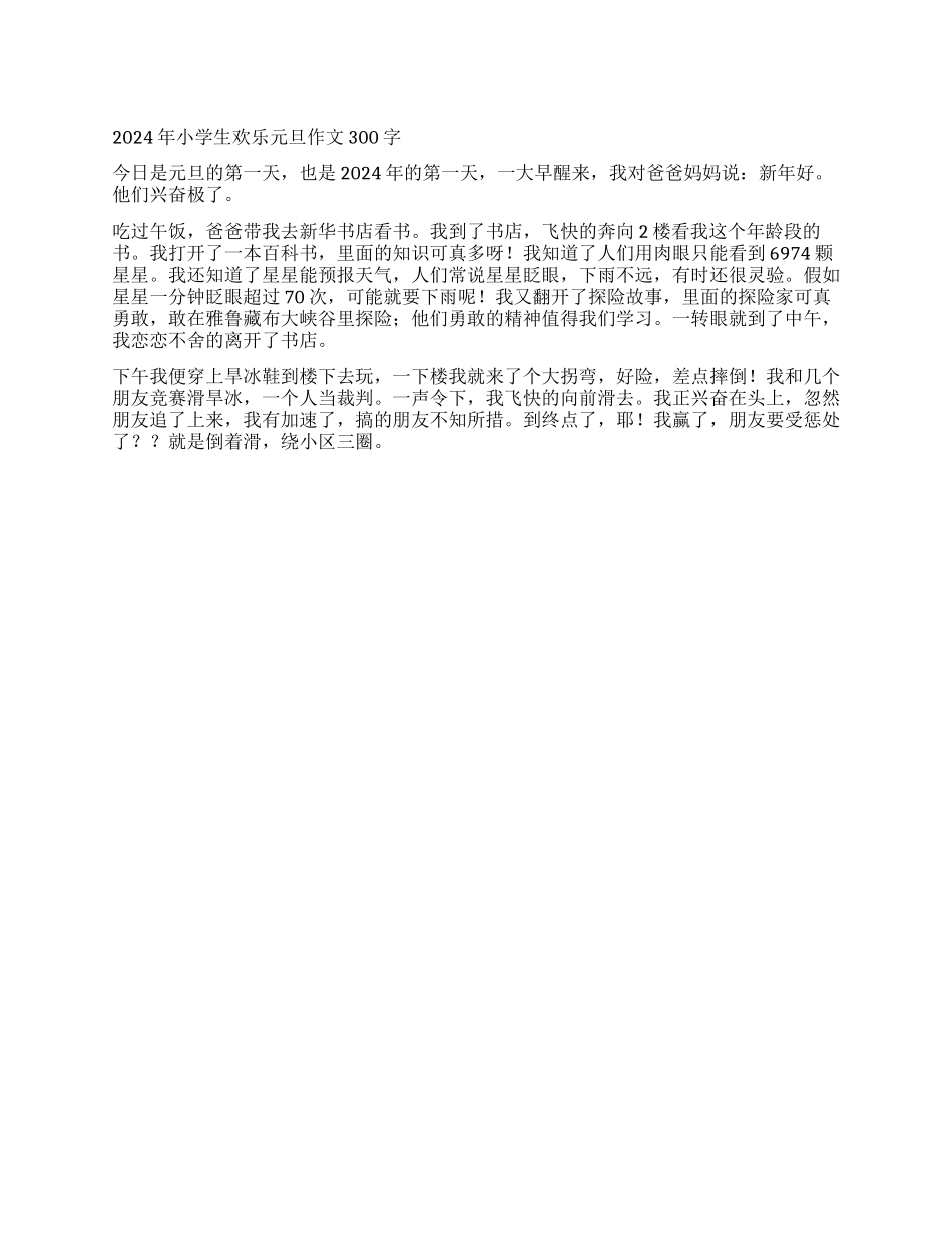 2024年小学生快乐元旦作文300字_第1页