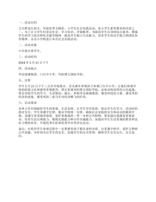 2024年小学生社会实践活动方案