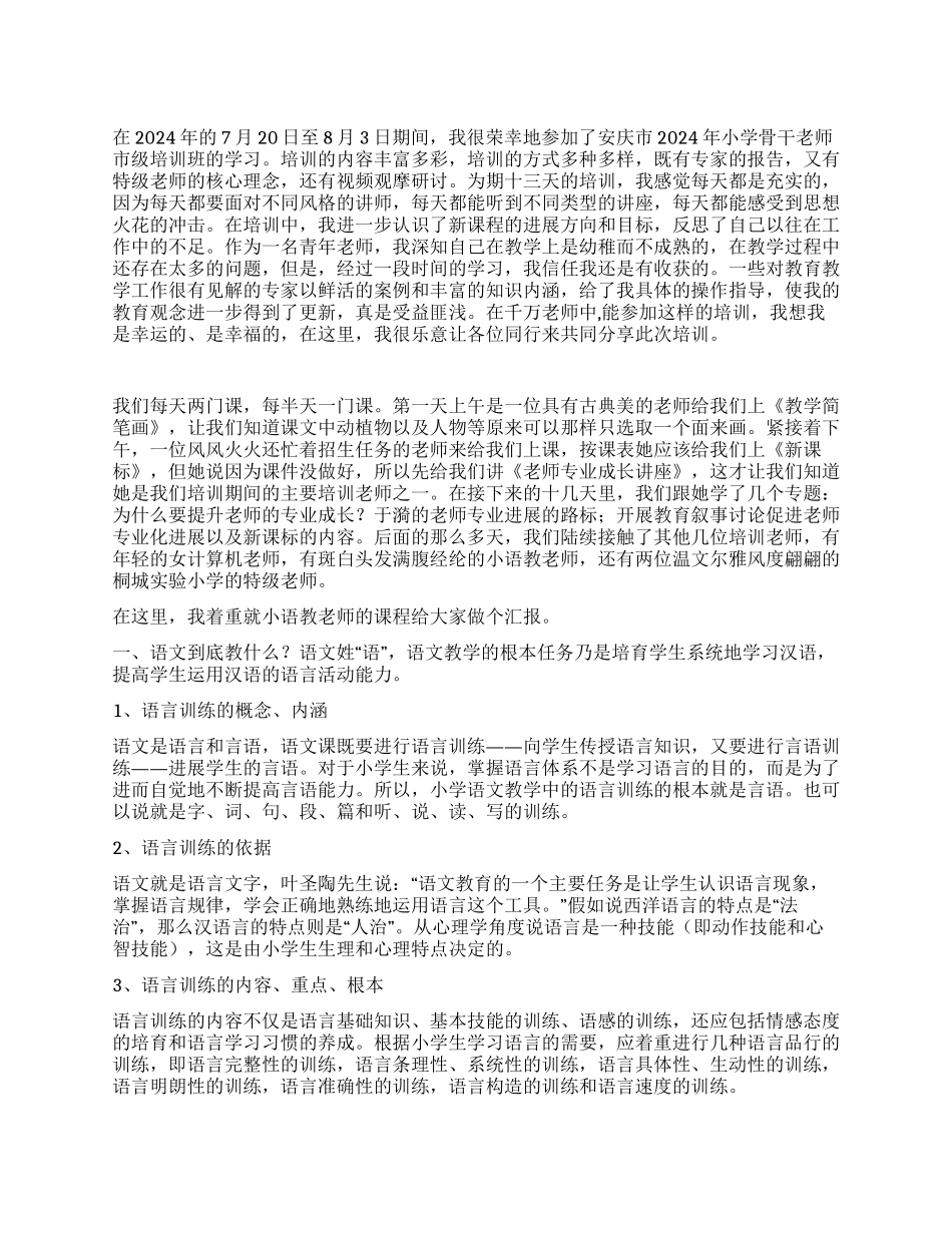 2024年小学骨干教师培训总结_第1页