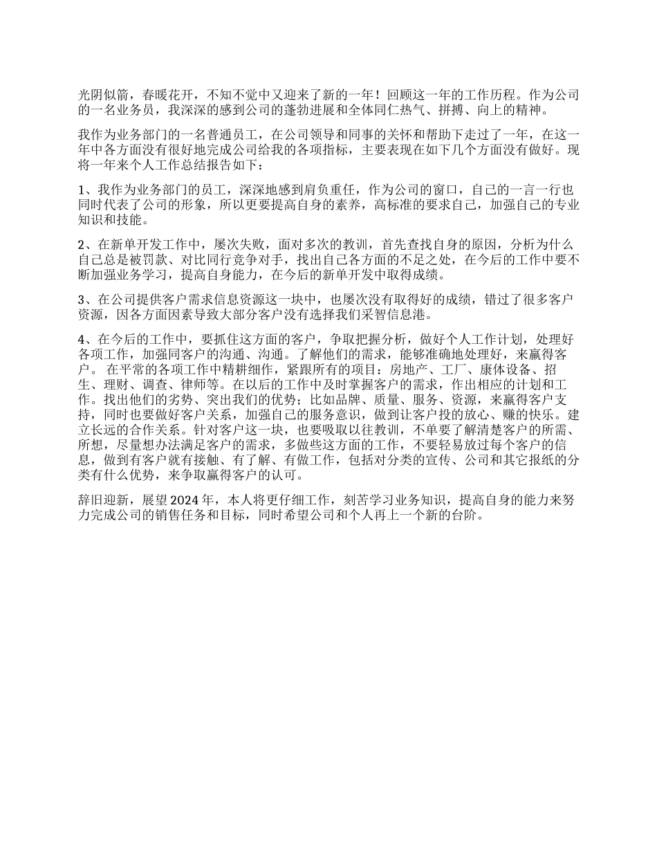 2024年工作总结报告模板_第1页