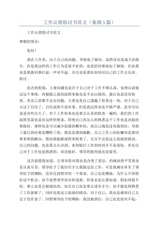 2024年工作认错检讨书范文