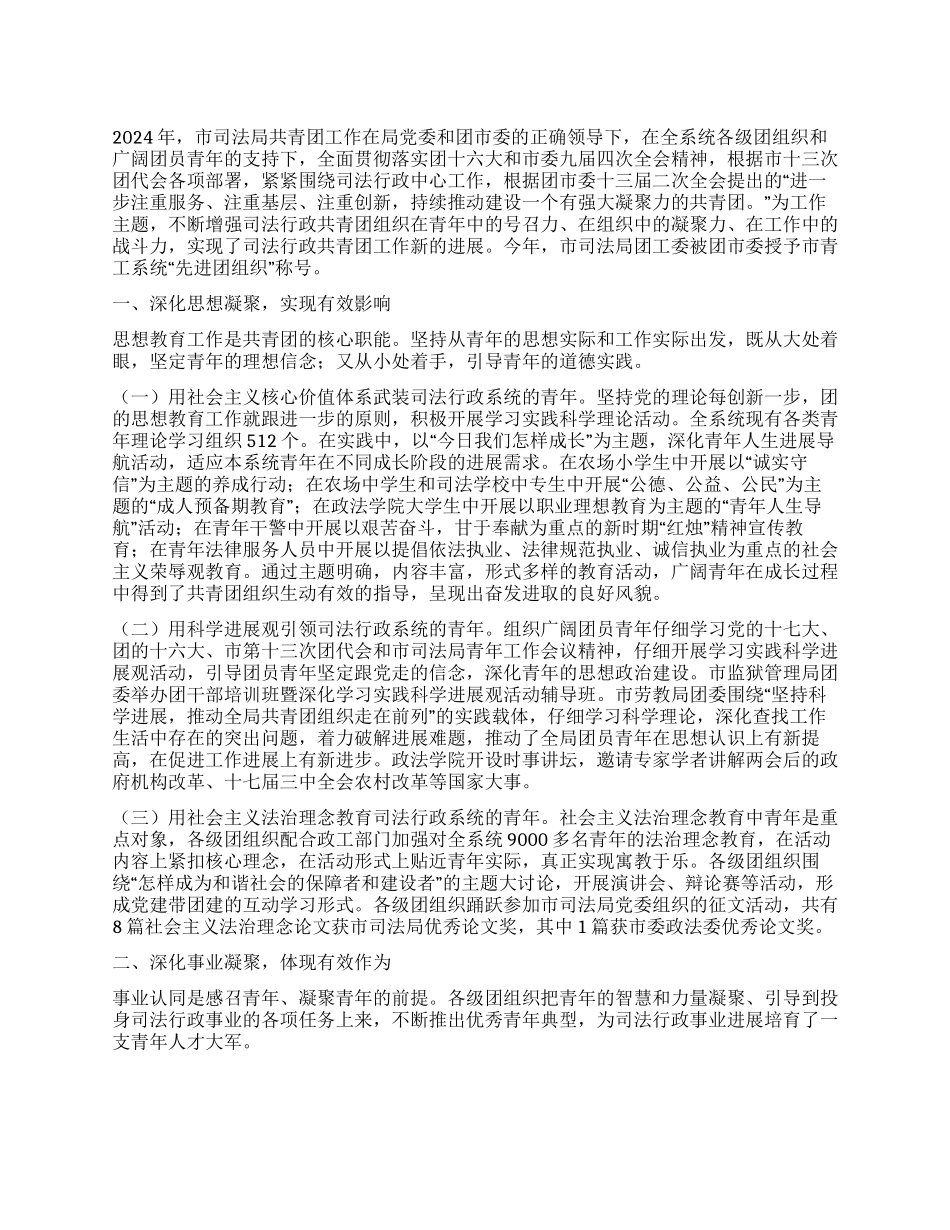 2024年市司法局共青团工作总结_第1页