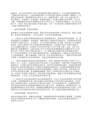2024年市司法局共青团工作总结