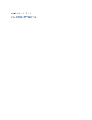 2024年市审计局工作计划
