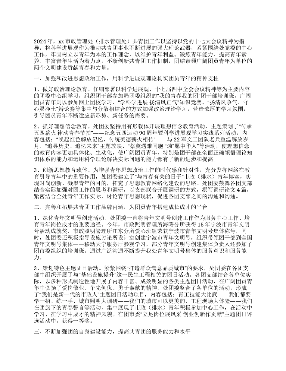 2024年市政排水处共青团工作总结_第1页
