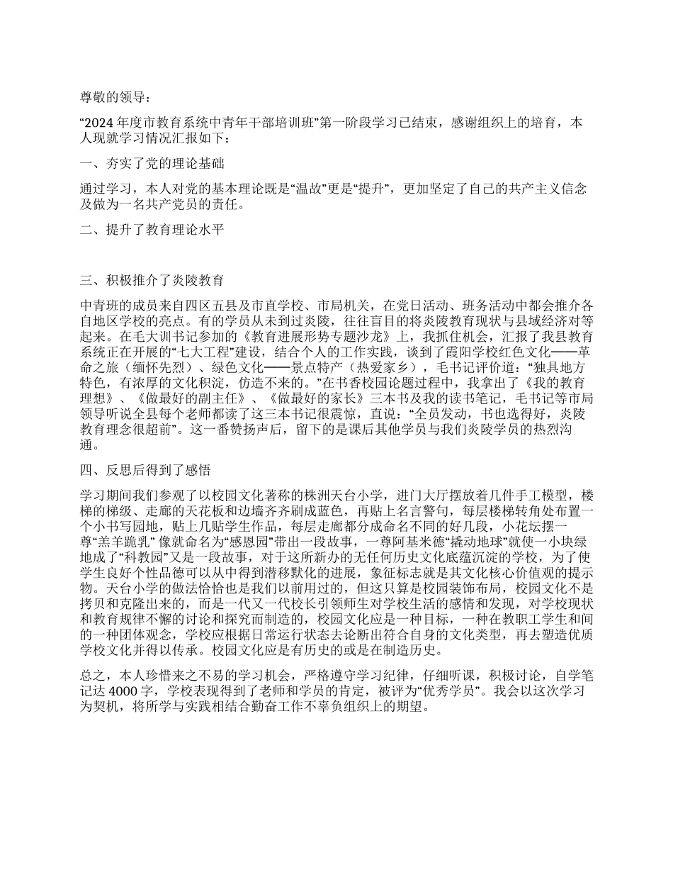 2024年市教育系统中青年干部党校学习汇报_第1页