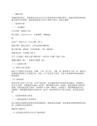 2024年市液化气站泄露应急预案