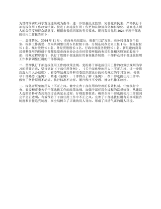 2024年干部选拨任用情况总结
