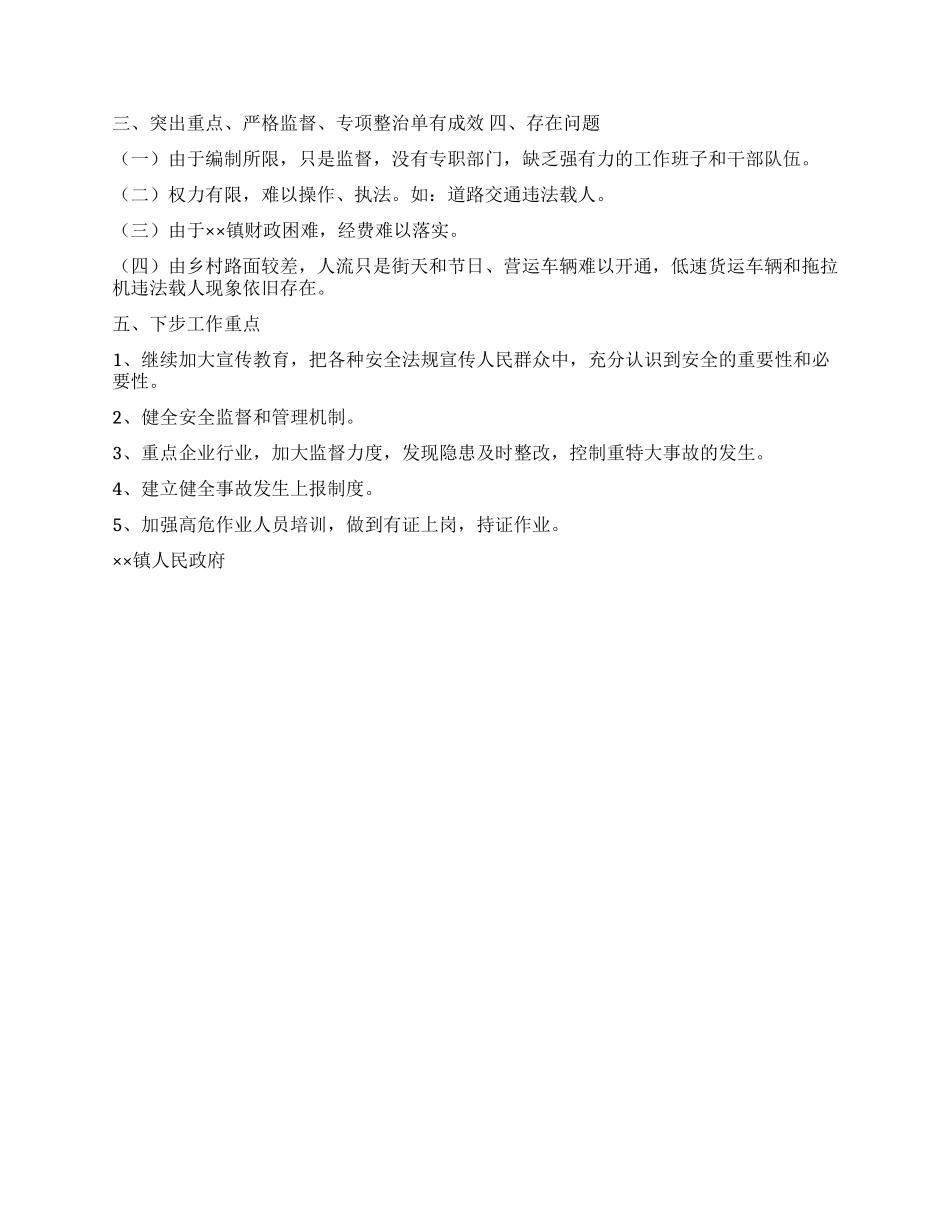 2024年度乡镇政府安全生产工作总结_第2页