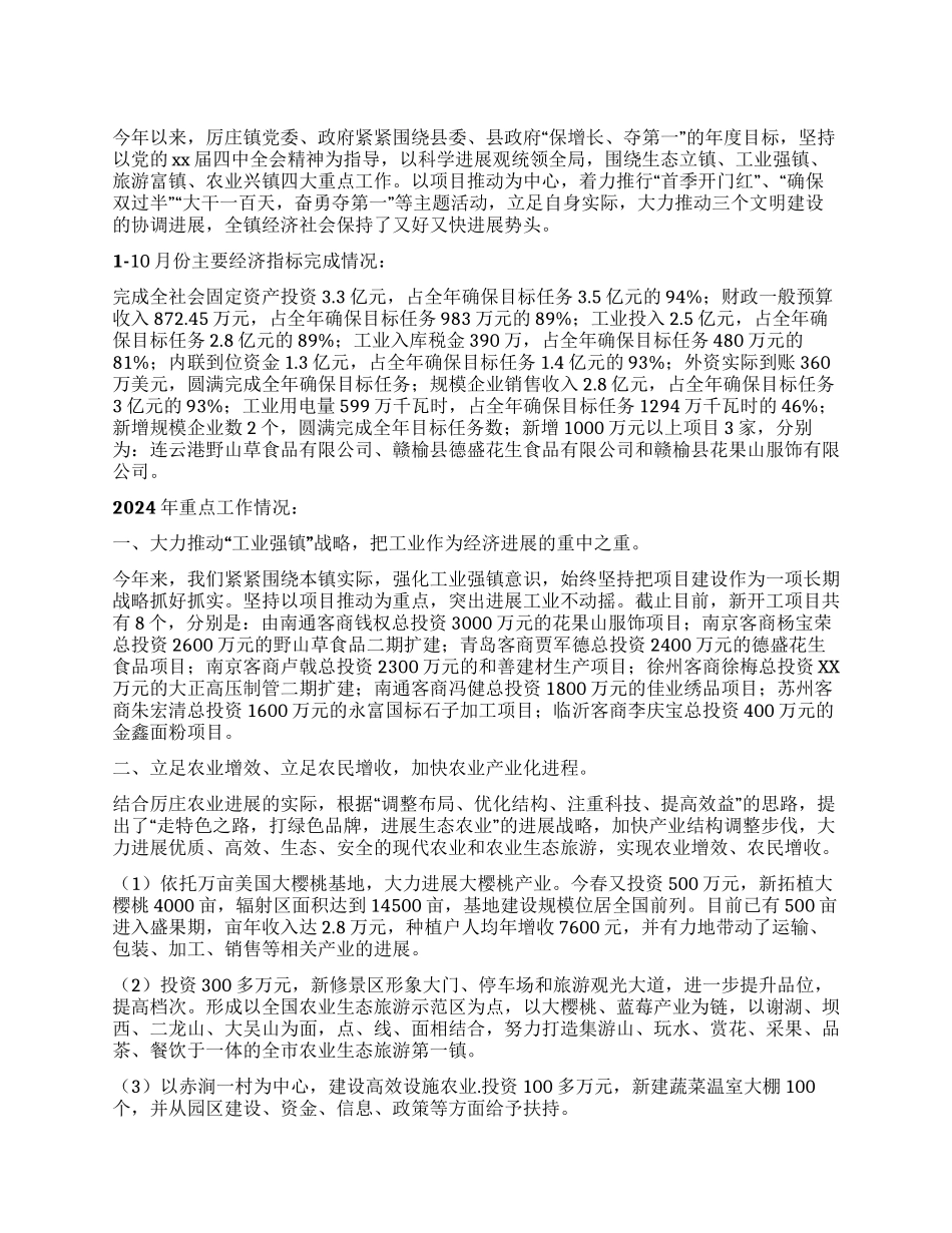 2024年度乡镇政府工作总结_第1页