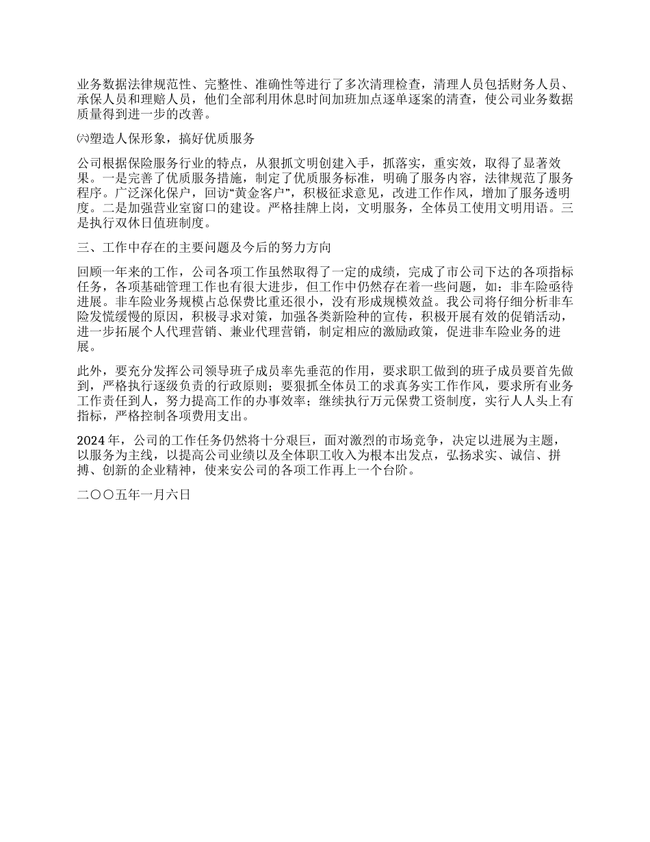 2024年度保险工作总结_第3页