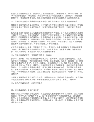 2024年度党建工作总结范例范文