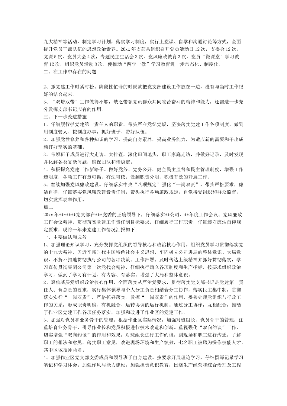 2024年度公司党支部书记抓党建工作述职报告_第2页