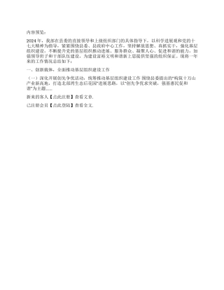 2024年度县委组织部工作总结