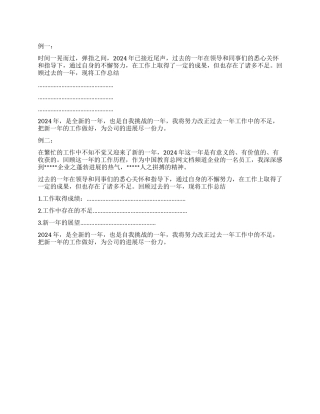 2024年度工作总结开头