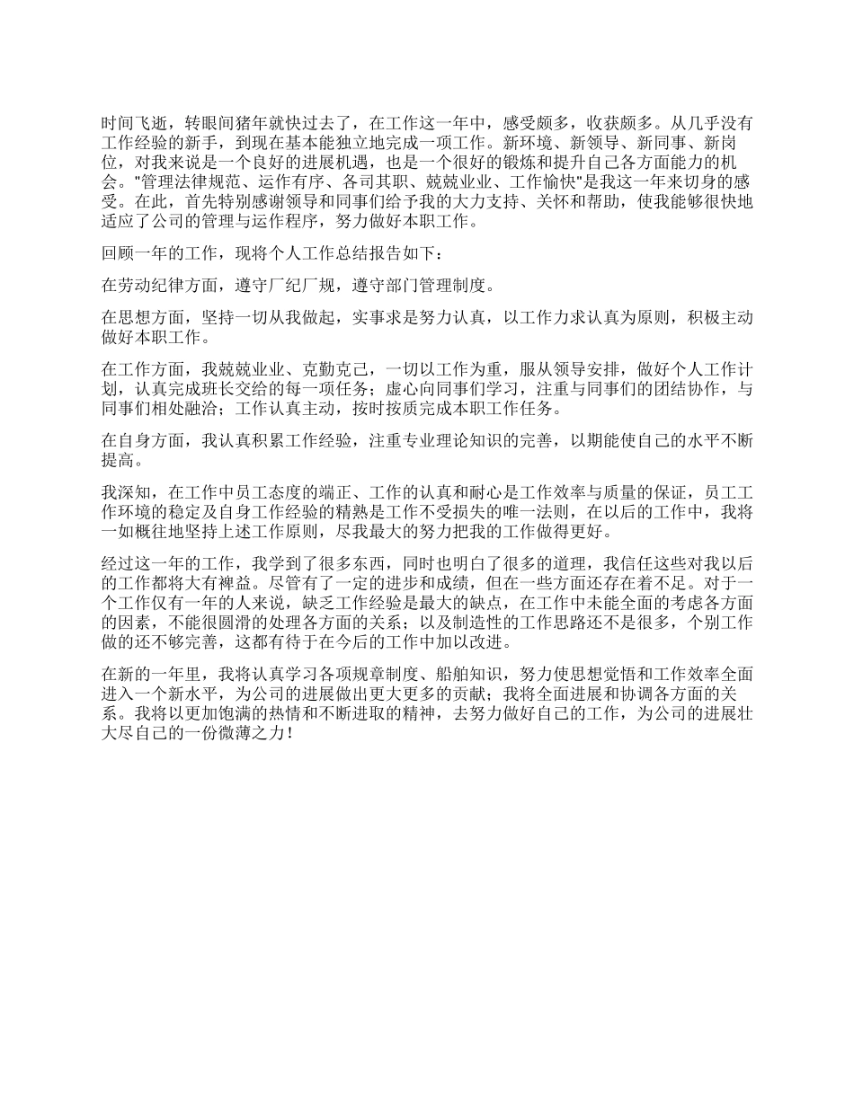 2024年度工作总结报告范文_第1页