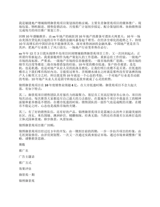 2024年度房地产项目推广策划工作总结