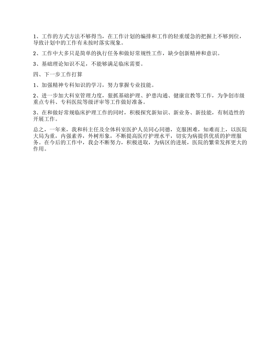 2024年度护士长个人工作总结_第2页