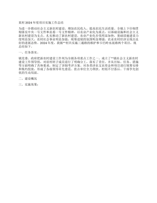 2024年度某村项目实施工作总结