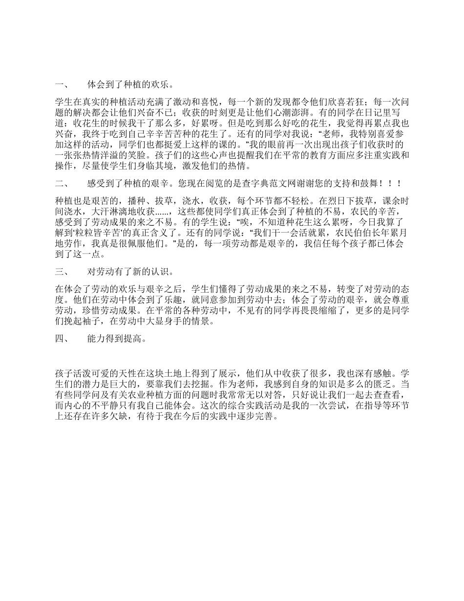 2024年度综合实践总结_第1页