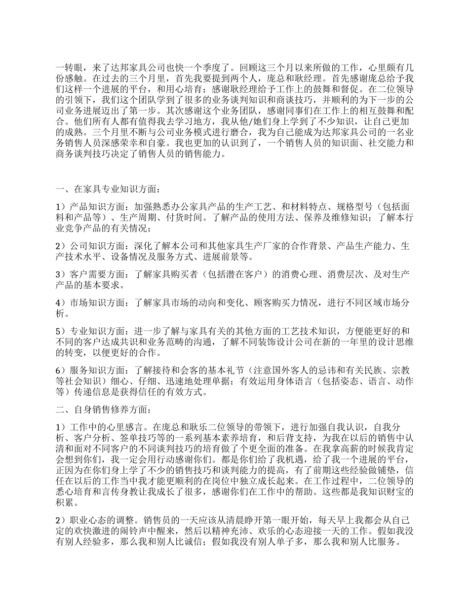 2024年度销售工作总结报告_第1页