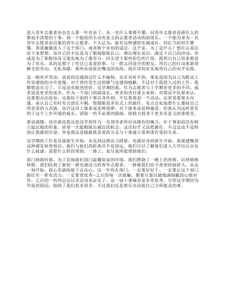 2024年度青年志愿者协会工作总结