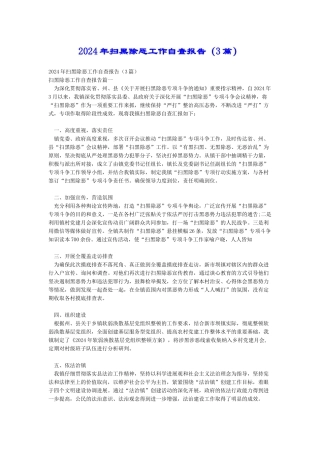 2024年扫黑除恶工作自查报告(3篇)