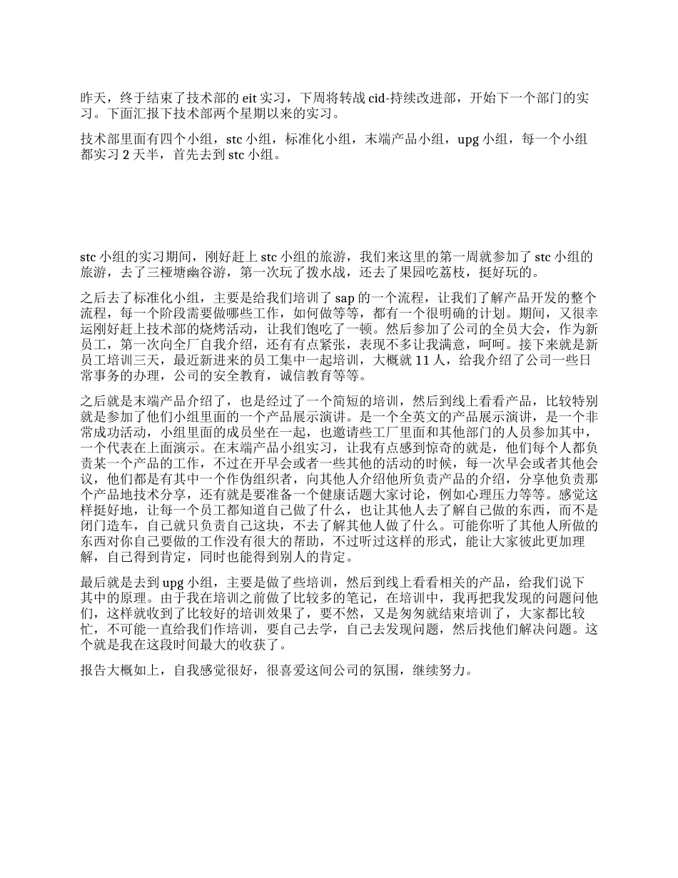 2024年技术部实习总结报告_第1页