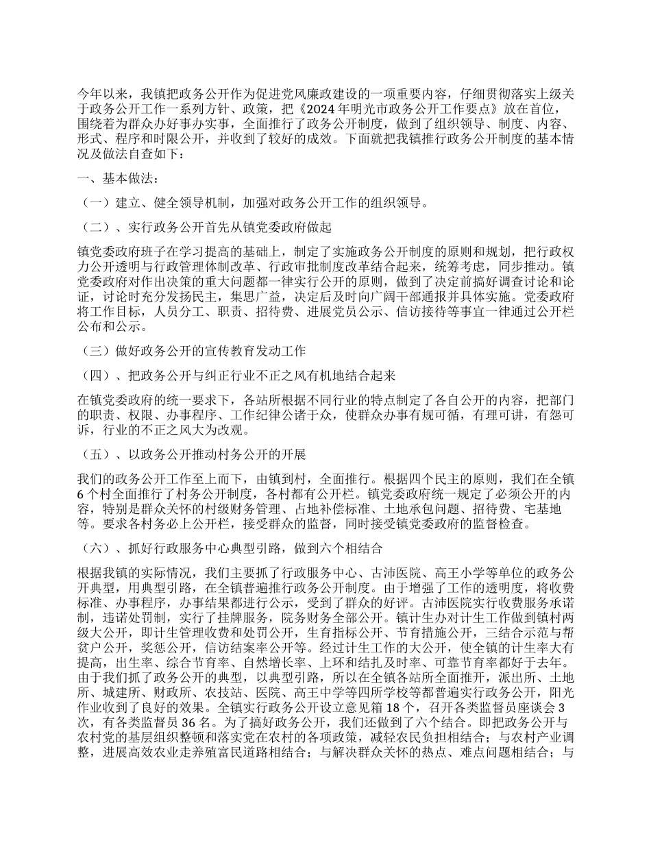 2024年政务公开总结_第1页