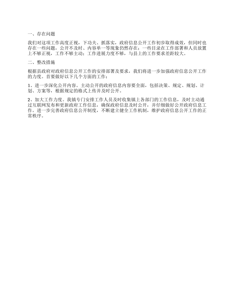 2024年政府信息公开整顿汇报_第1页