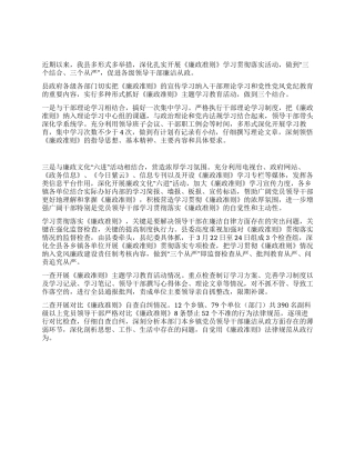 2024年政府学习廉政准则工作总结