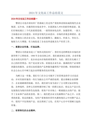 2024年文化站工作总结范文