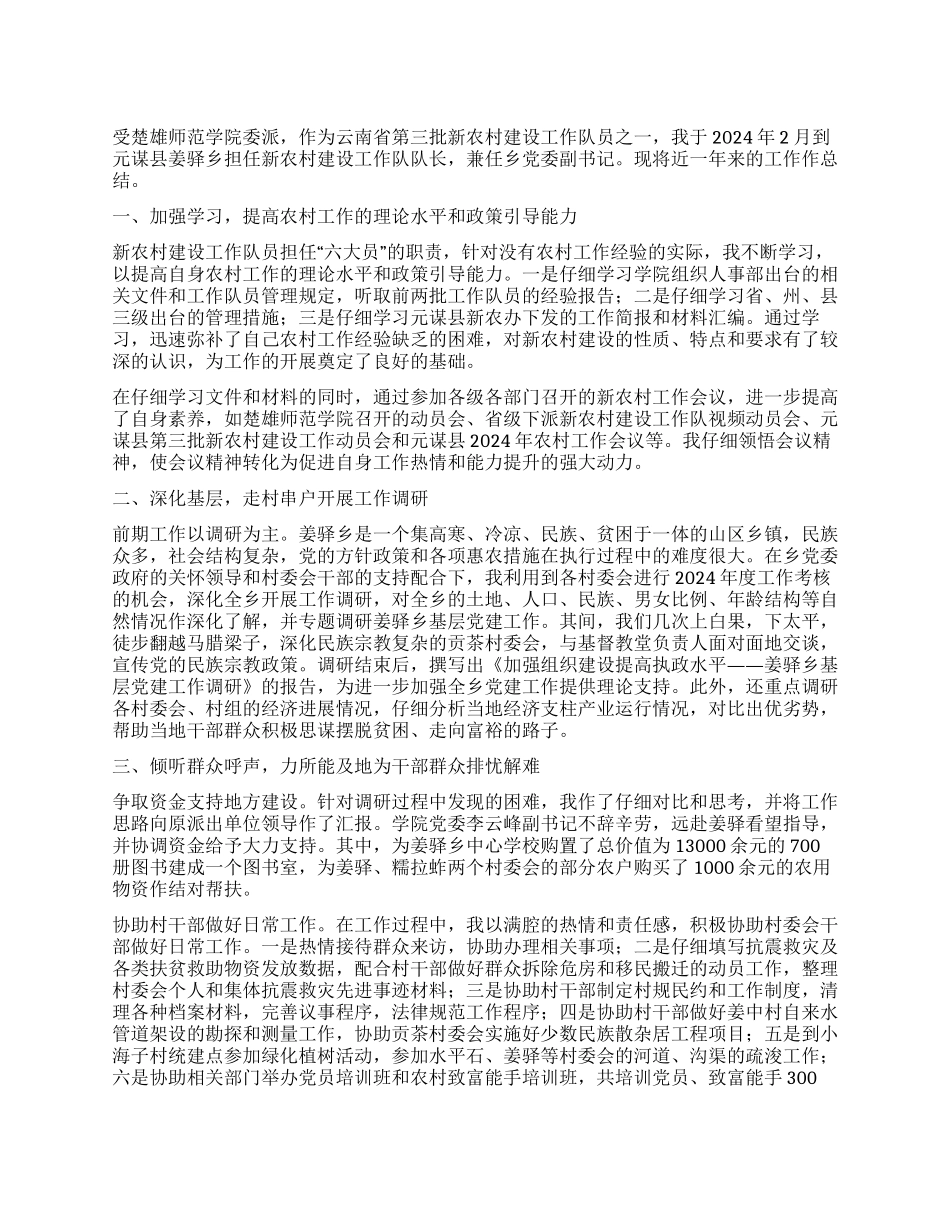 2024年新农村建设工作总结_第1页