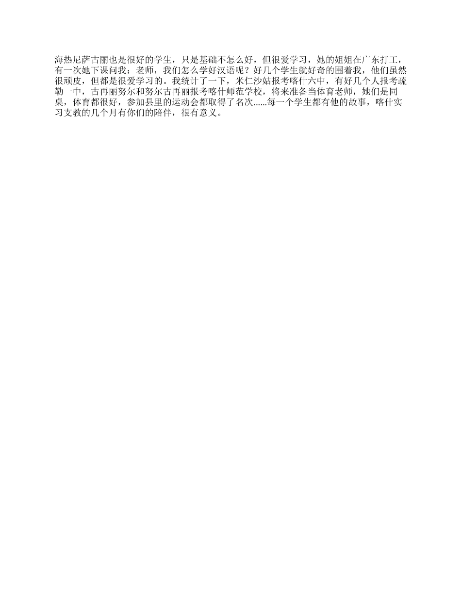 2024年新疆支教总结_第2页