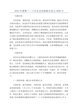 2024年暑期“三下乡社会实践报告范文3000字