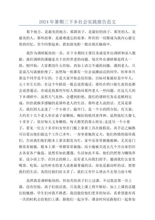 2024年暑期三下乡社会实践报告范文