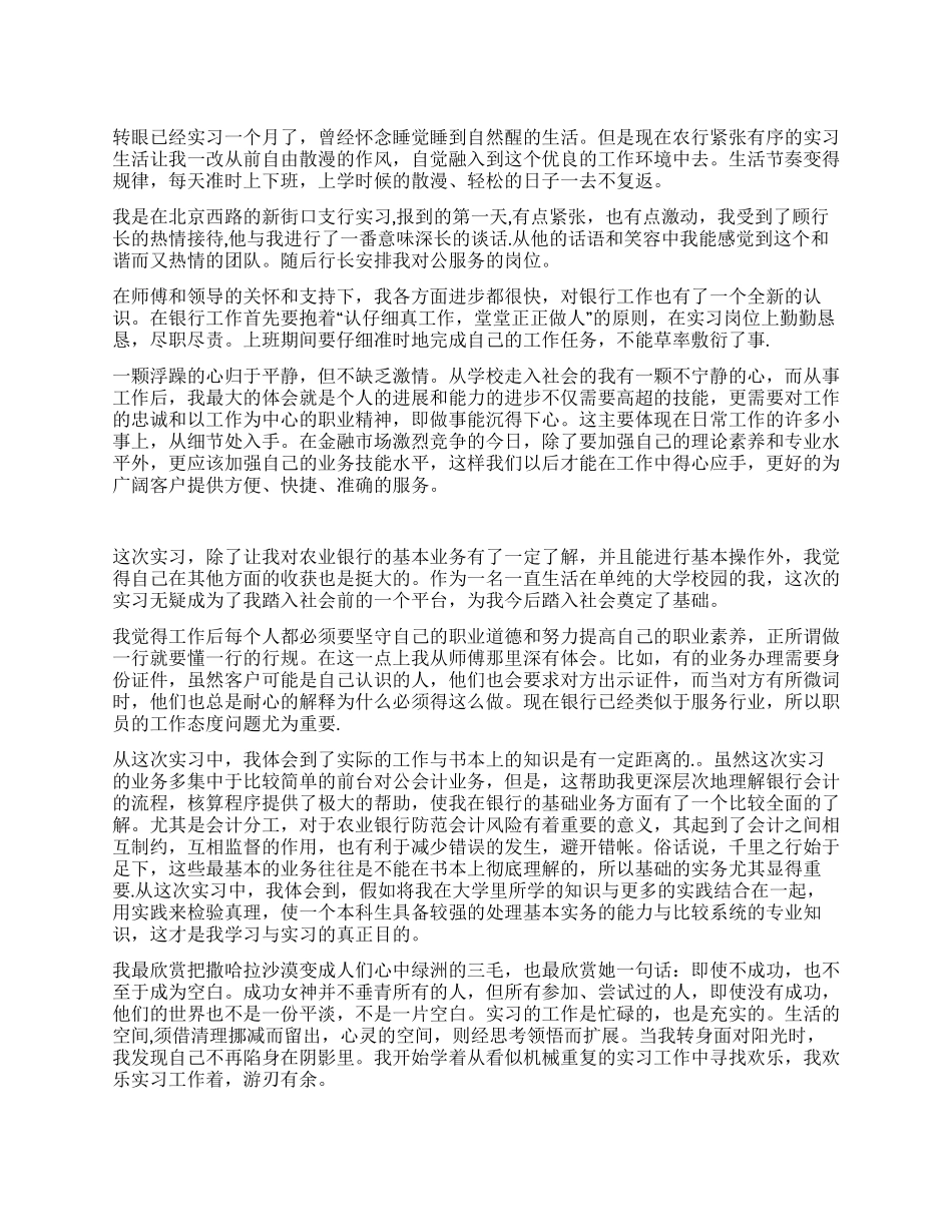 2024年暑期农业银行实习总结报告_第1页