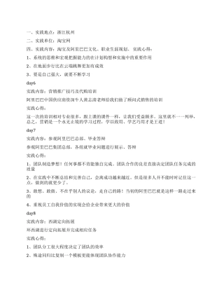 2024年暑期大学生淘宝网实践报告