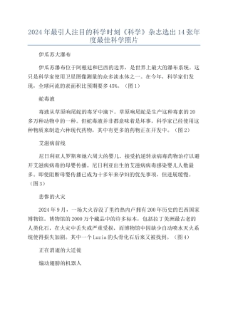 2024年最引人注目的科学时刻《科学》杂志选出14张年度最佳科学照片