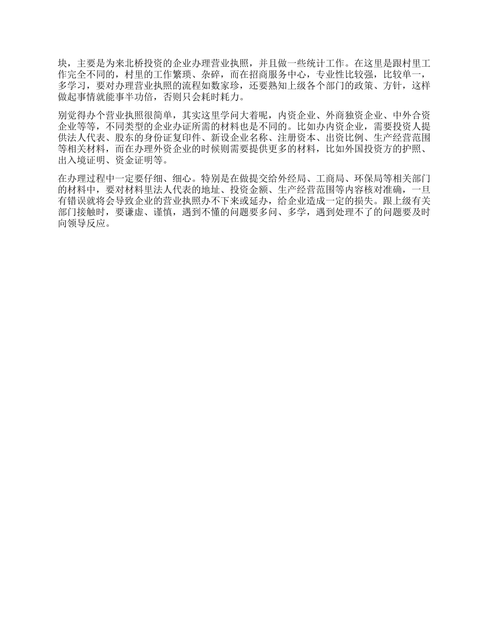 2024年村主任助理工作总结_第2页