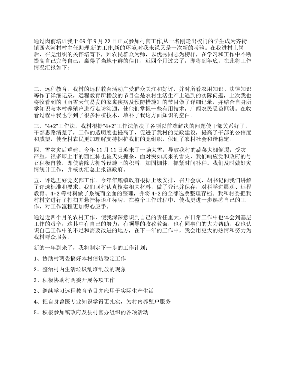 2024年村主任助理工作总结及工作计划_第1页
