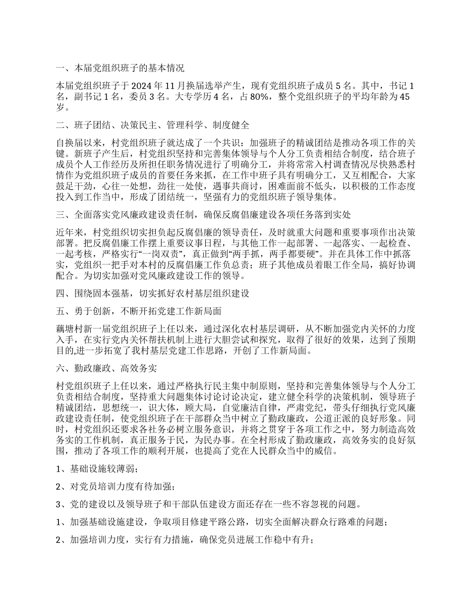 2024年村党支部工作总结_第1页