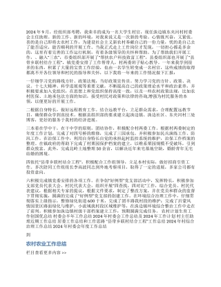 2024年村委会主任助理工作总结