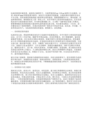 2024年村委党建工作总结