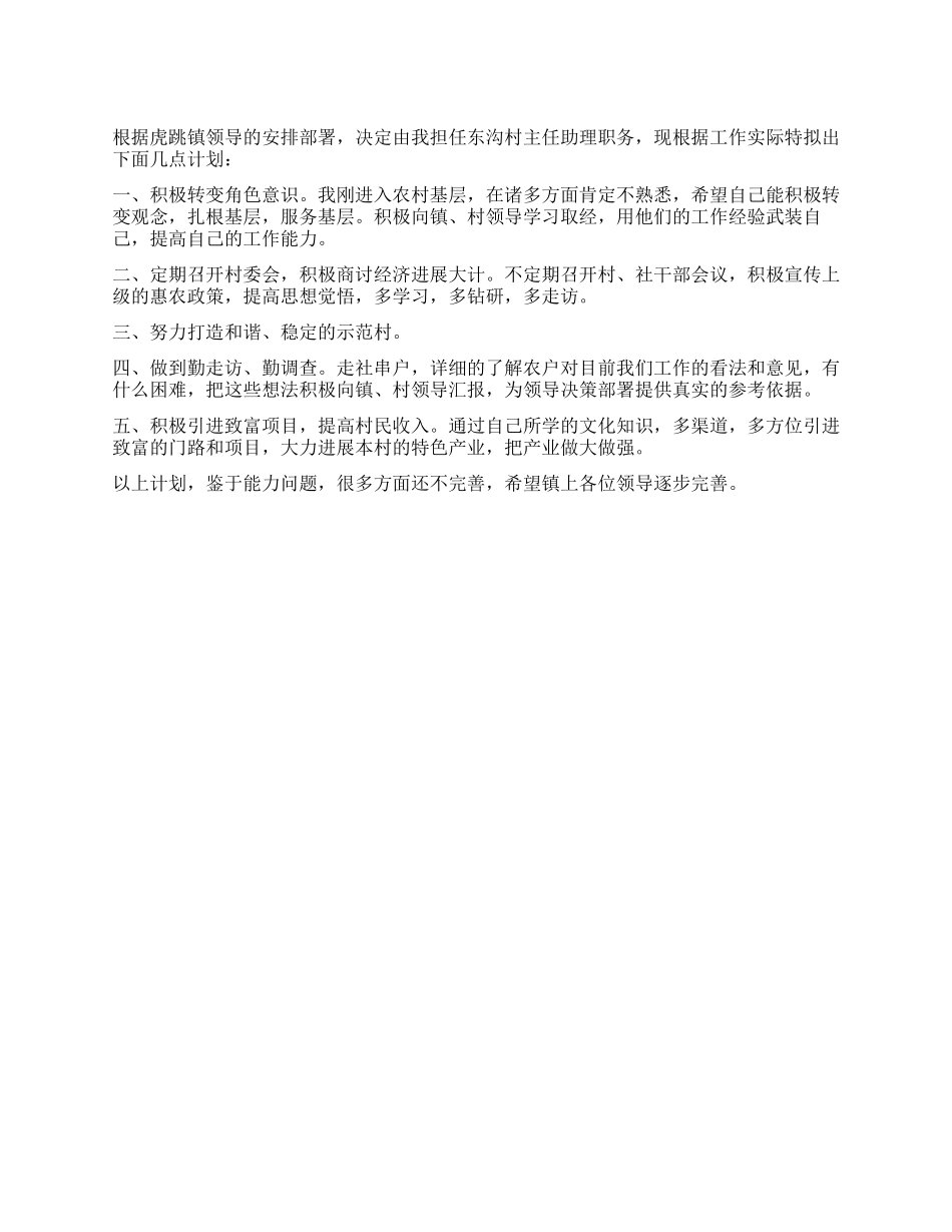 2024年村官个人工作计划范文_第1页