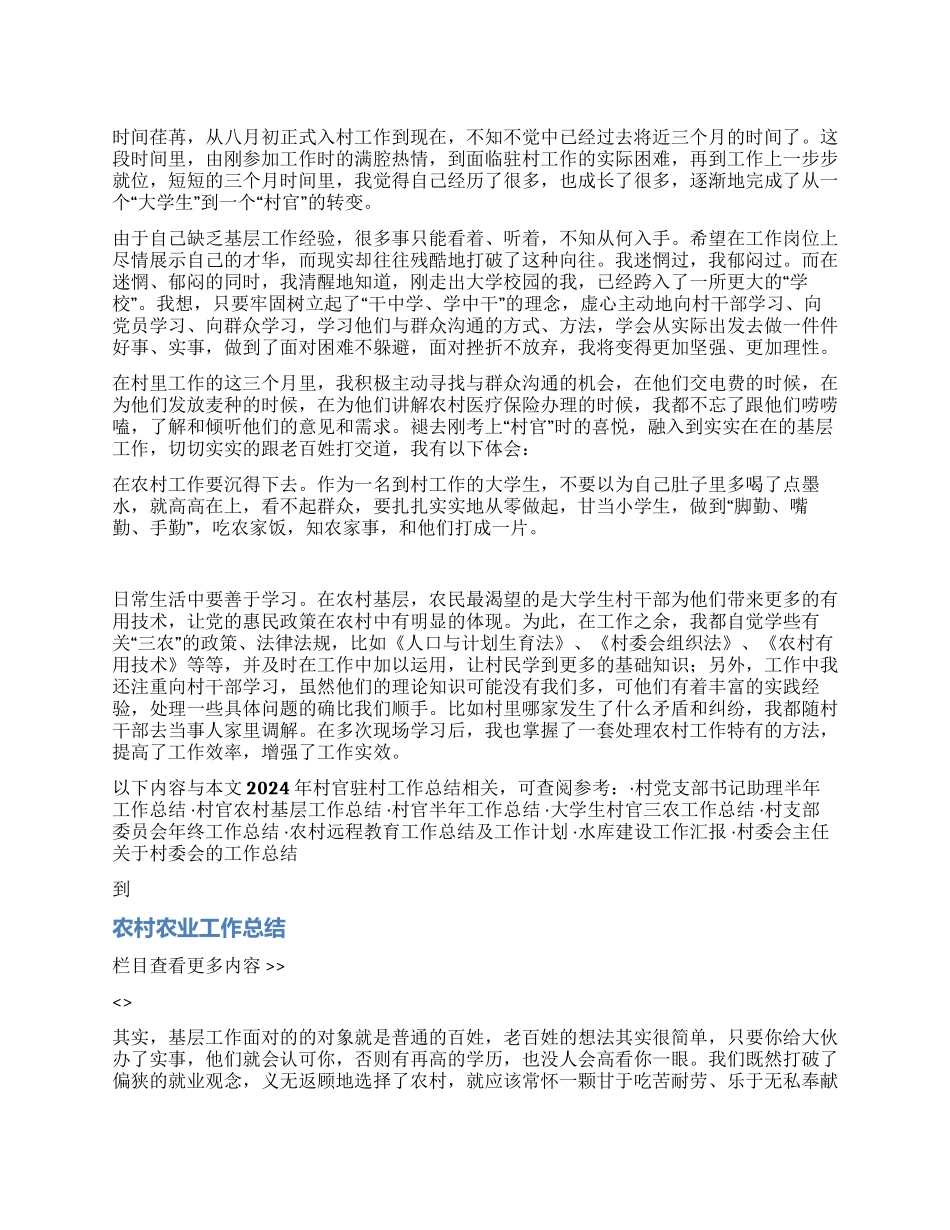 2024年村官驻村工作总结_第1页